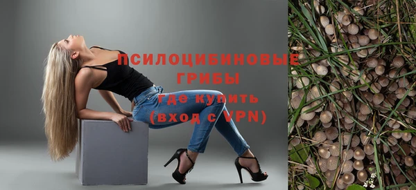 MESCALINE Галич