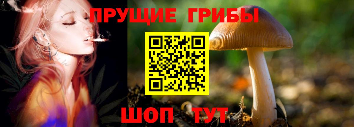 Псилоцибиновые грибы MAGIC MUSHROOMS Тайшет